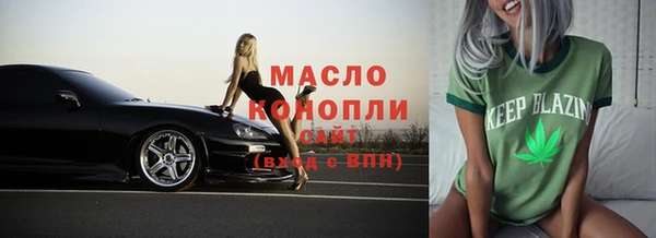 сатива Сатка