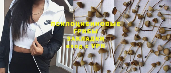 Альфа ПВП Абаза