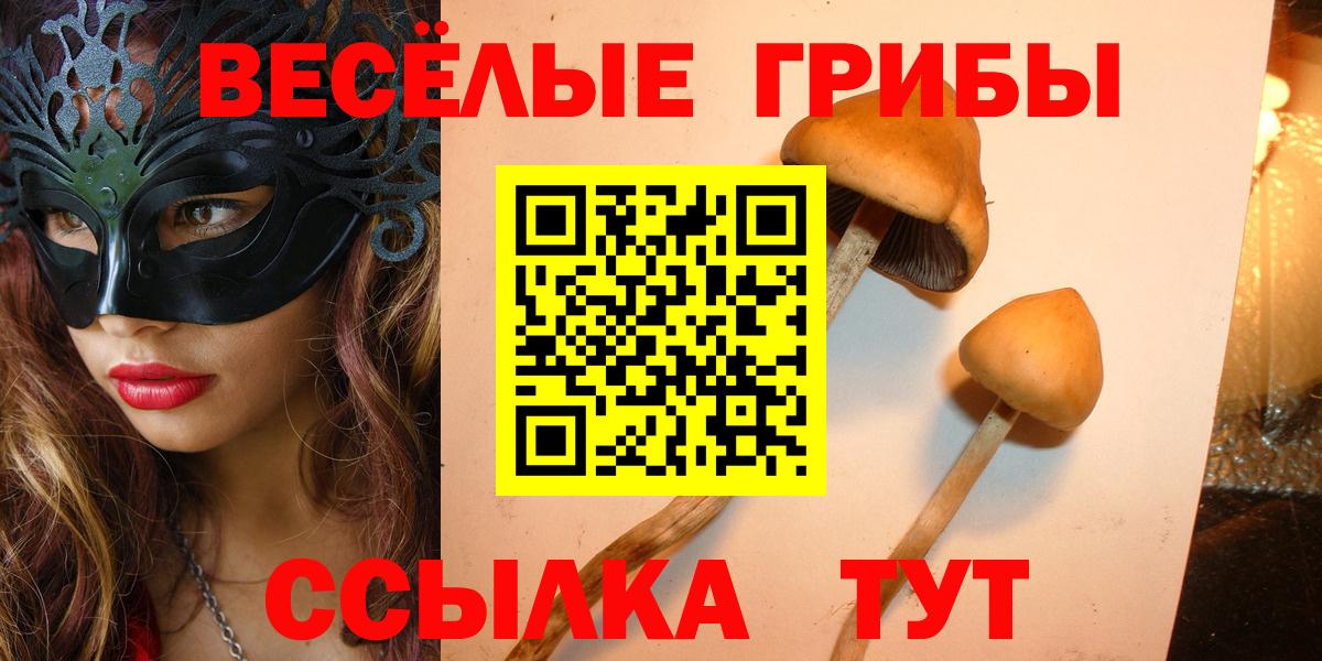 Псилоцибиновые грибы Cubensis Ишимбай